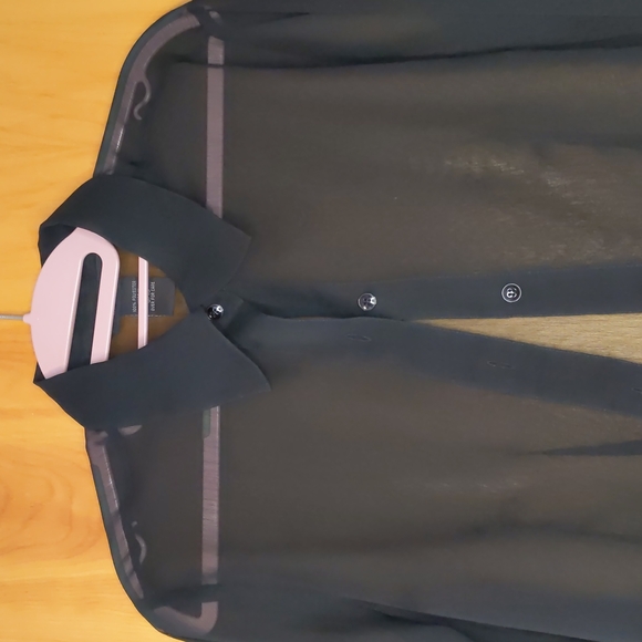 Express sheer button down blouse - Picture 2 of 5